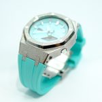 Ga2100