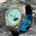 Ga2100 Silver Case
