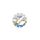 Silver Rainbow Check Dial