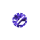 Purple Dial