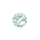 Light Green Dial