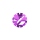 Purple Smooth Dial